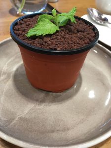 a sweet plant pot